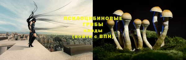 крисы Гусиноозёрск