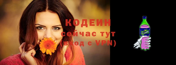 2c-b Горняк