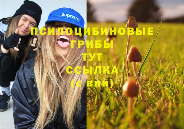синтетический гашиш Гусев