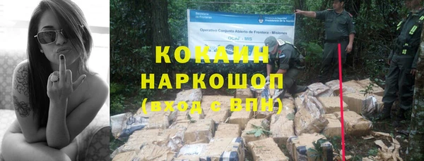 стаф Горнозаводск